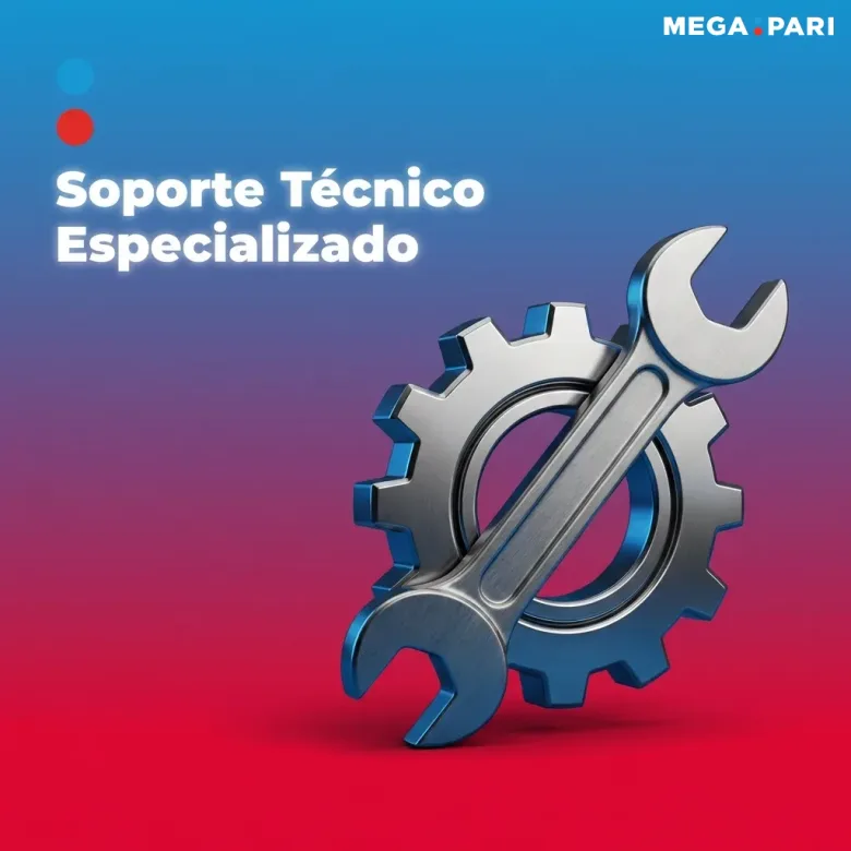 Página del sitio de guías sobre el soporte técnico especializado